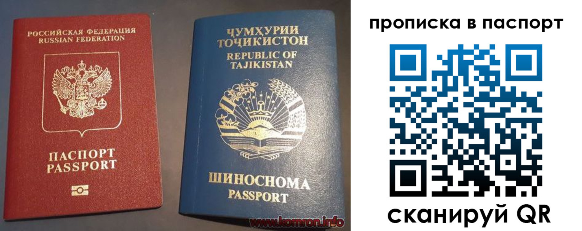 где прописаться в Волхове